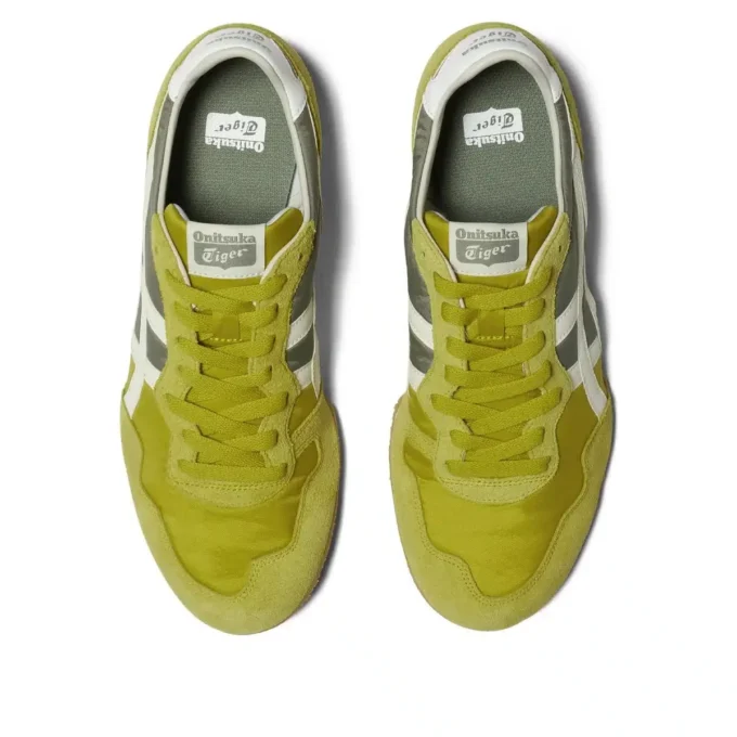 Serrano «Kelp Birch»